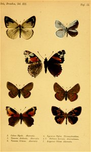 n364_w1150