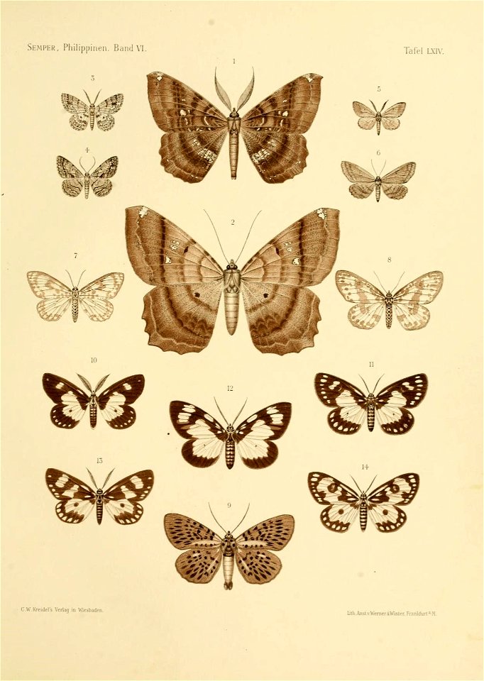 n140_w1150