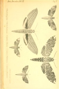 n402_w1150