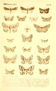n496_w1150