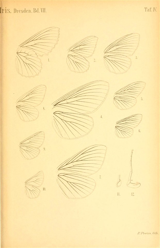 n400_w1150