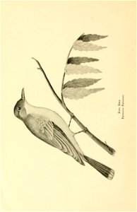 n59_w1150