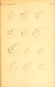n398_w1150