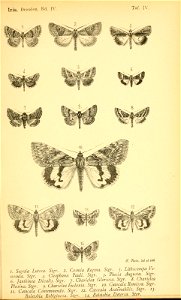 n376_w1150