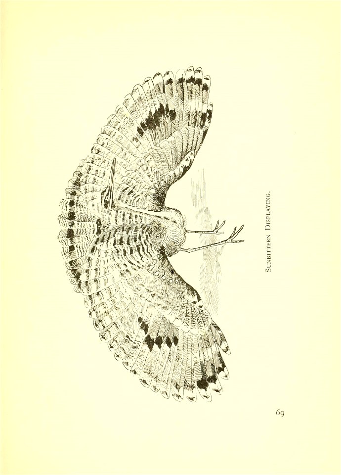 n104_w1150