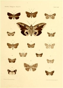 n128_w1150