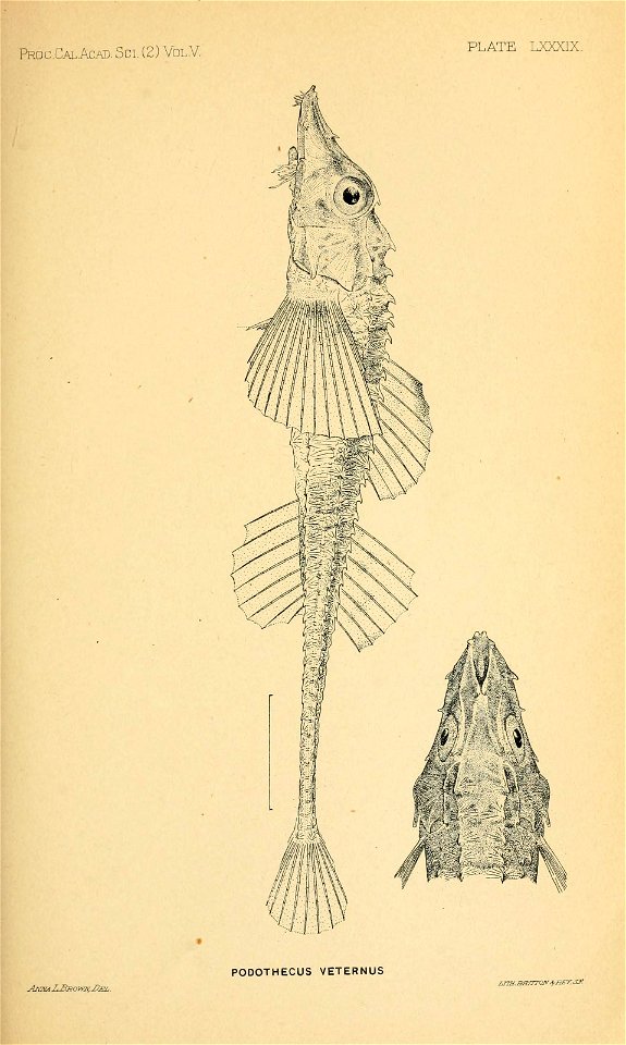 n112_w1150