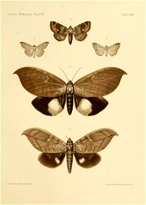 n124_w1150