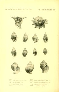 n693_w1150