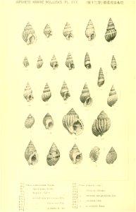 n223_w1150
