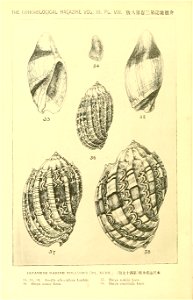 n861_w1150