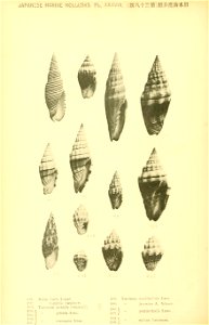 n507_w1150