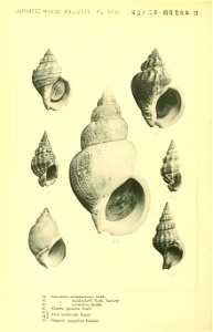 n169_w1150