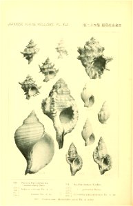 n691_w1150