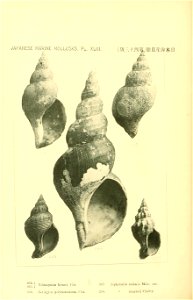 n689_w1150