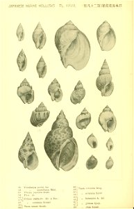 n167_w1150