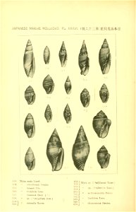 n451_w1150
