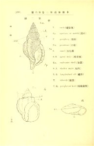 n311_w1150