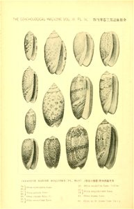 n811_w1150