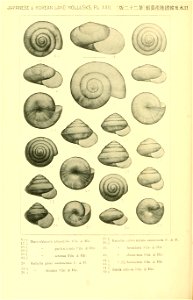 n687_w1150