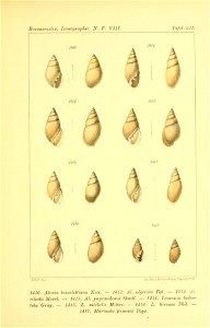 n228_w1150