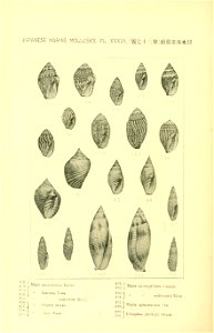 n449_w1150