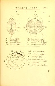 n310_w1150