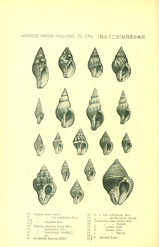 n119_w1150