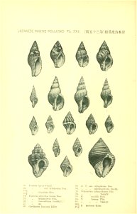 n119_w1150