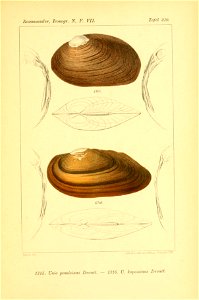 n518_w1150