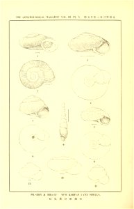 n809_w1150