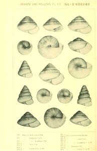 n447_w1150