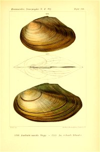 n486_w1150