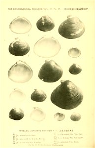 n807_w1150