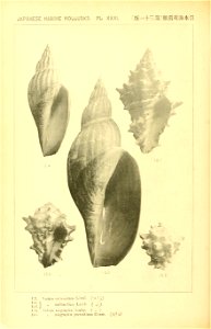 n283_w1150