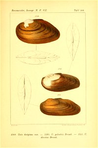 n514_w1150