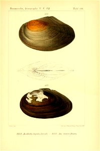 n484_w1150