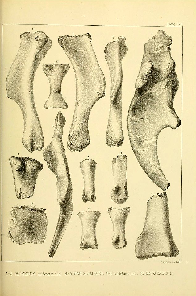 n554_w1150