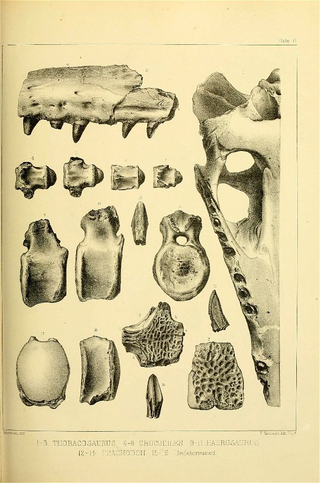 n514_w1150