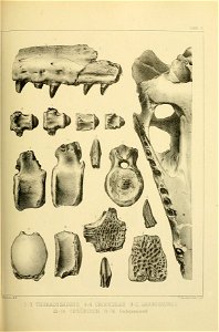 n514_w1150