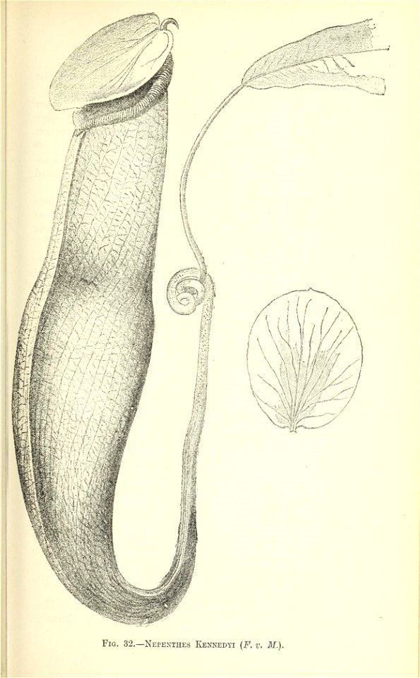n202_w1150