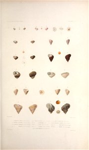 n266_w1150