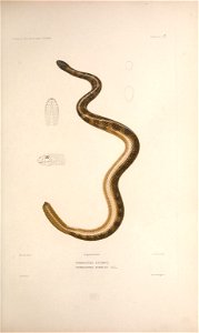n164_w1150