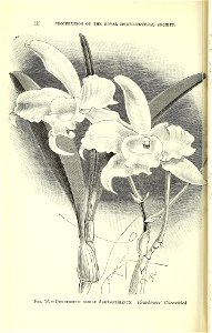 n569_w1150