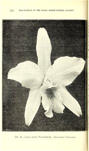 n561_w1150
