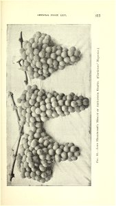 n430_w1150