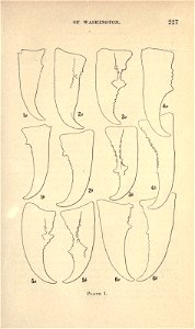 n234_w1150