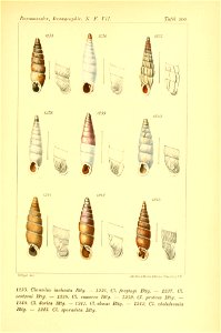 n498_w1150