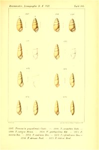 n468_w1150