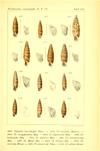 n408_w1150